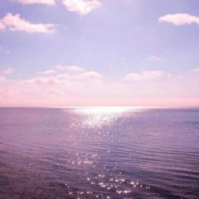 半岛bob综合登入手机app下载