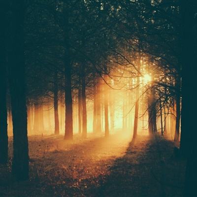 5848vip威尼斯电子游戏手机app下载